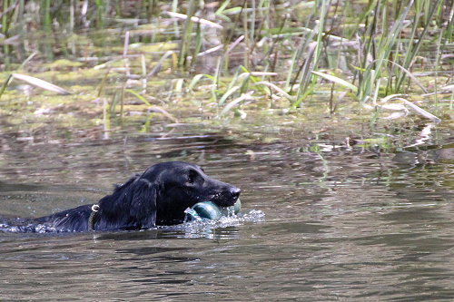 WWWasserseminar201904Hanna WWWasserseminar201904Hanna