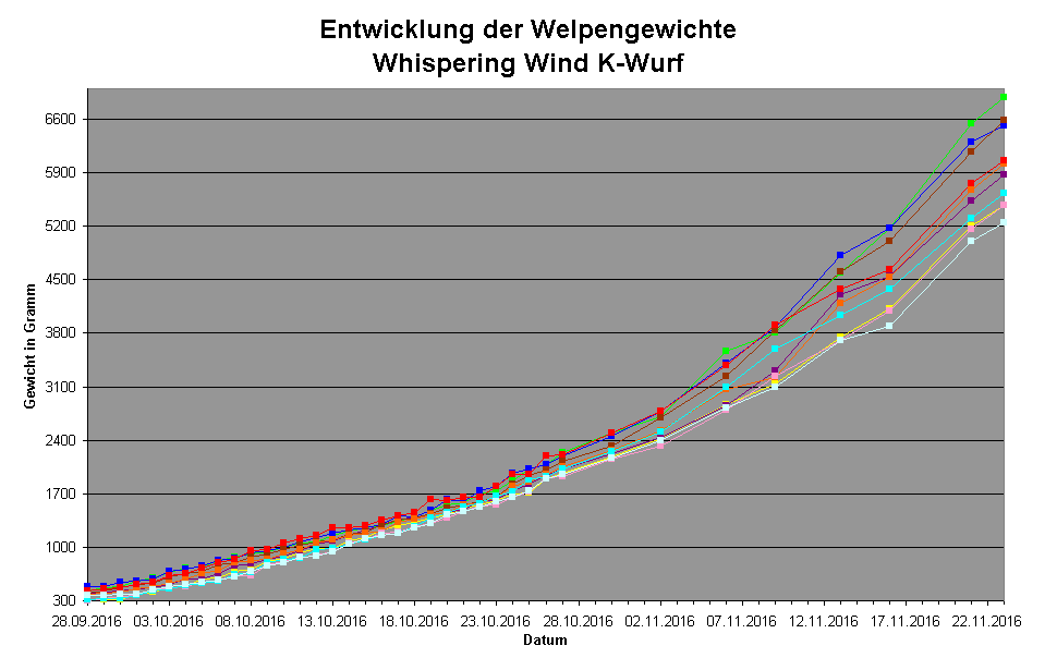 Entwicklung der Welpengewichte
Whispering Wind K-Wurf