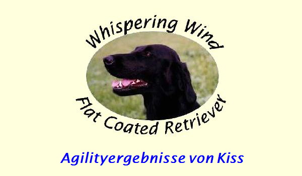 Agilityergebnisse von Kiss