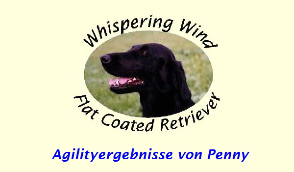 Agilityergebnisse von Penny