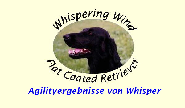 Agilityergebnisse von Whisper