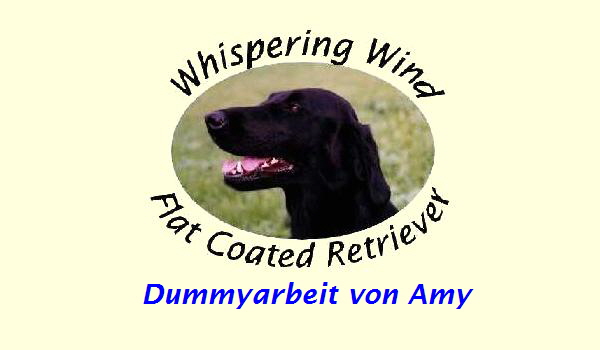 Dummyarbeit von Amy