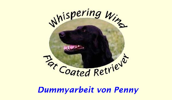 Dummyarbeit von Penny