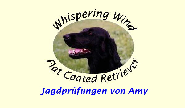 Jagdprfungen von Amy