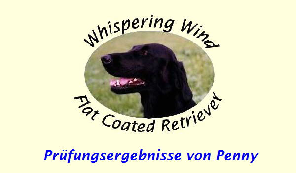 Prfungsergebnisse von Penny