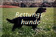 Rettungs-
hunde