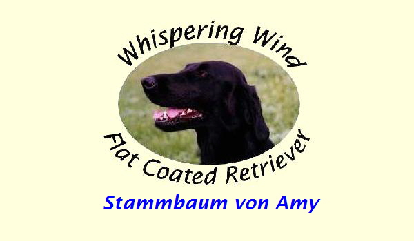 Stammbaum von Amy