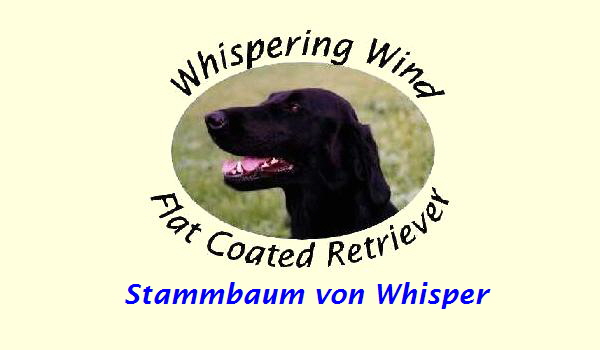 Stammbaum von Whisper