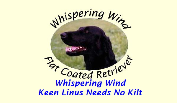 Whispering Wind
Keen Linus Needs No Kilt