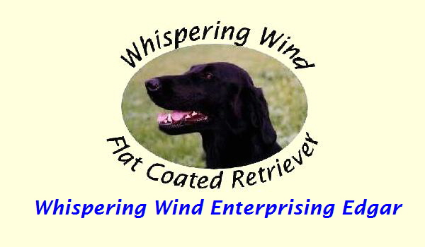 Whispering Wind Enterprising Edgar Whispering Wind Enterprising Edgar