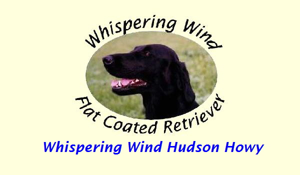 Whispering Wind Hudson Howy