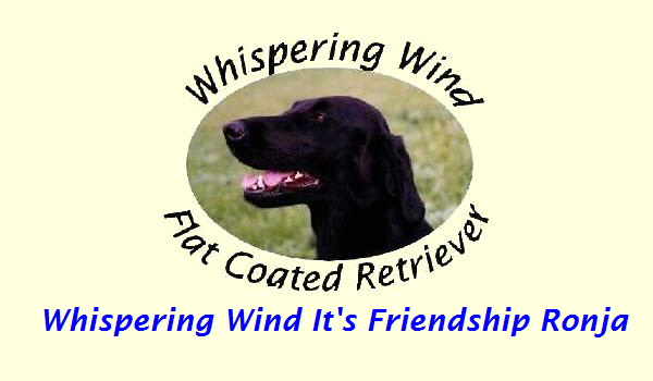 Whispering Wind It's Friendship Ronja