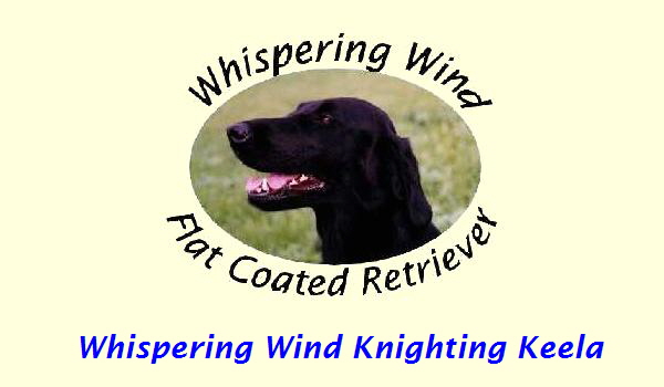 Whispering Wind Knighting Keela