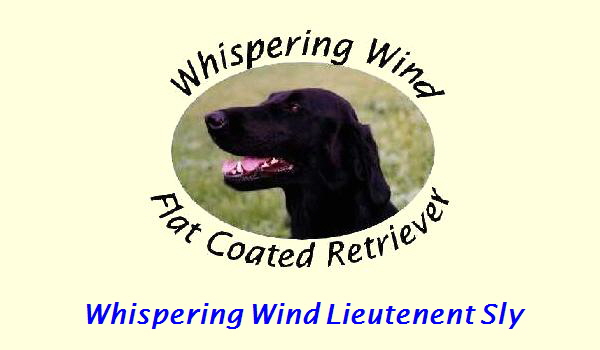 Whispering Wind Lieutenent Sly