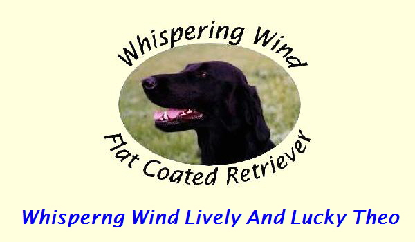 Whisperng Wind Lively And Lucky Theo